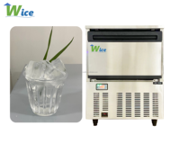Ventes directes d'usine de machines à glaçons sous le comptoir WICE, machines à glace à pulvérisation produisant 80 kilogrammes de blocs de glace transparente par jour.