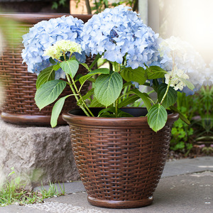 Pot de fleurs décoratif en rotin pour balcon extérieur P129, pot en plastique moulé par injection pour plantes - Product Image 3