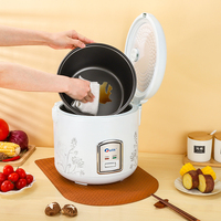 Olla Arrocera Eléctrica Blanca al por Mayor - 2L-6L, Olla Interior Antiadherente Inteligente, Eficiente Energéticamente A+, Suministro de Fábrica, Taza Medidora