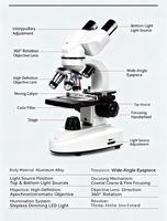 Microscope binoculaire numérique USB à LED avec caméra oculaire à mise au point automatique pour laboratoire scolaire, 1080P, garantie 1 an, IP54