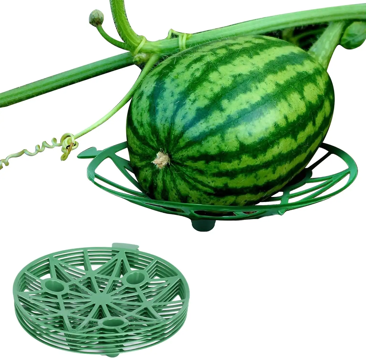Plastic Plant Melon Support Cages Cradles Trellis Watermelon Pad Tray Avoid Ground Rot for Cantaloupe