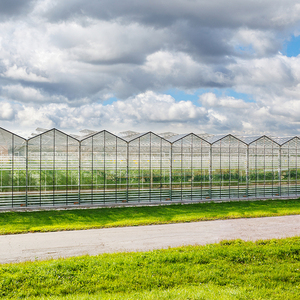 Fournitures d'usine Kit de culture hydroponique <span class=keywords><strong>jardin</strong></span> agricole écologique utilisé éponge hydroponique de plante de graine - Product Image 6