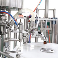 PX Solution clé en main 5000BPH ligne de bière artisanale automatique CO2 Purge barrière à oxygène pour boisson chimique verre métal sac eau pure
