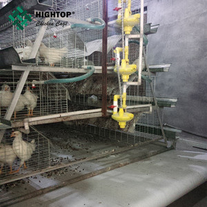 La mejor calidad de un <span class=keywords><strong>marco</strong></span> de pollos de engorde <span class=keywords><strong>pollo</strong></span> aves de corral criador jaula para granja - Product Image 6