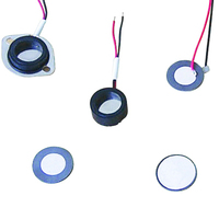 Plaque/coupelle céramique piézoélectrique ultrasonique 16mm 20mm 25mm 1.7MHz 2.4MHz Transducteur atomiseur brumisateur Cangxin