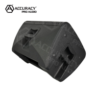 Précision Pro Audio CAO10D6-2K 10 pouces haut-parleur 500W Power Sound Party classe D amplificateur haut-parleur actif