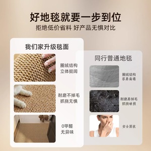 Qingnan <b>Pineapple</b> Ring Door Mat Striped Minimalist Lines Wear Resistant Cat Scratch Proof Living Room Entrance - Product Image 1
