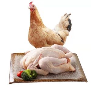 <strong>Chicken</strong> <strong>Plucker</strong> with Scalding Tank/<strong>chicken</strong> <strong>Plucker</strong> and Scalder Machine - Product Image 4