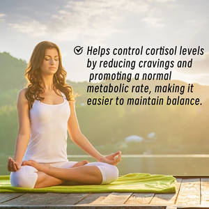 ยาเมลาโทนินสำหรับ <span class=keywords><strong>B5</strong></span>อาหารเสริมเพื่อสุขภาพแบบแคปซูลช่วยให้ผ่อนคลาย180นอนหลับ - Product Image 4