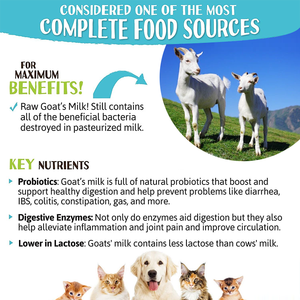 OEM/ODM Stimolatore dell'appetito, Polvere di brodo di ossa per animali domestici, Nuovo integratore nutrizionale per cani e gatti, Vendita all'ingrosso di successo - Product Image 6