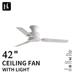 Wide angle <b>powerful</b> air <b>supply</b>, low noise, modern decoration, remote control ceiling fan - Product Image 2