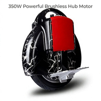 Fabricant de trottinettes électriques à une roue personnalisées OEM ODM 350W 60V