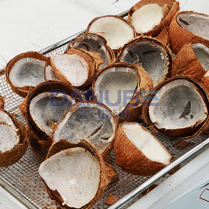 Nouvelle technologie déshydrateur de fruits équipement noix de coco salle de séchage pompe à chaleur four de séchage noix de coco déshumidificateur machines - Product Image 1