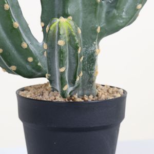 Cactus Artificial Dream Castle, Bonsái de 10cm-30cm, Plástico PU, Decoración Nórdica para el Hogar - Product Image 3