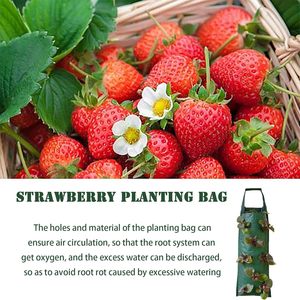 Sacs de culture suspendus durables pour jardin vertical, en plastique PE, 8 trous, pour fraises, légumes, herbes et fleurs, pour l'intérieur et l'extérieur - Product Image 3