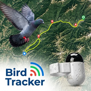 Anillo de Rastreo GPS para Palomas, Recargable, Resistente al Agua IP67, con Material Plástico LBS, Carga Magnética, para Vuelos Prolongados al Aire Libre - Product Image 6