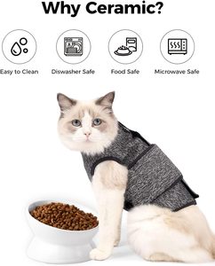 Elevated Ceramic <b>Cat</b> Food Bowl Tilted Raised Water Dish for Spine Protection and Anti Vomiting - Product Image 5