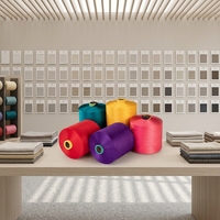 Filament de polyester texturé haute ténacité WELONG 100 %, 300/576 DTY S/Z Twist, respectueux de l'environnement, teint en masse, pour la couture