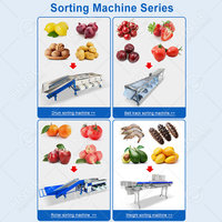 OCEAN Automatische Passievrucht Trommeltype Formaat Sorteerder Cherry Tomaten Appel Reinigings- en Sorteermachine Prijs