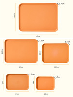 Plastic dienblad voor thuis, thee, fruit, dessert, antislip, voor het bewaren van voedsel, keukengerei