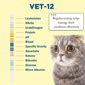 Bâtonnets de test urinaires UTI pour la santé des animaux de compagnie, bandelettes d'analyse <span class=keywords><strong>urinaire</strong></span> 12 paramètres pour chats et chiens Vet-12 - Product Image 5