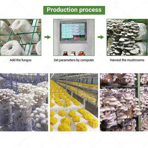 Cost 20ft 40ft Container Farm Hydroponic Shipping Growing System Agricultural Greenhouse Mushroom Production Vertical Mushroom G - Product Image 3
