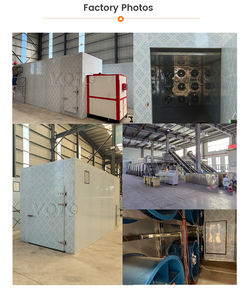 Máquina Clasificadora de Cebollas a Gran Escala para Uso Comercial con Motor 380V/415V 7.5KW 1500kg - Product Image 4