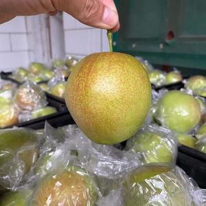 Paket Hadiah Pir Yulu Premium Pilihan, Tanpa Tekstur Kasar, Manis Segar, Pir Ekspor
