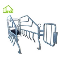 Cage de maternité personnalisable pour truies, directement de l'usine, pour l'élevage porcin