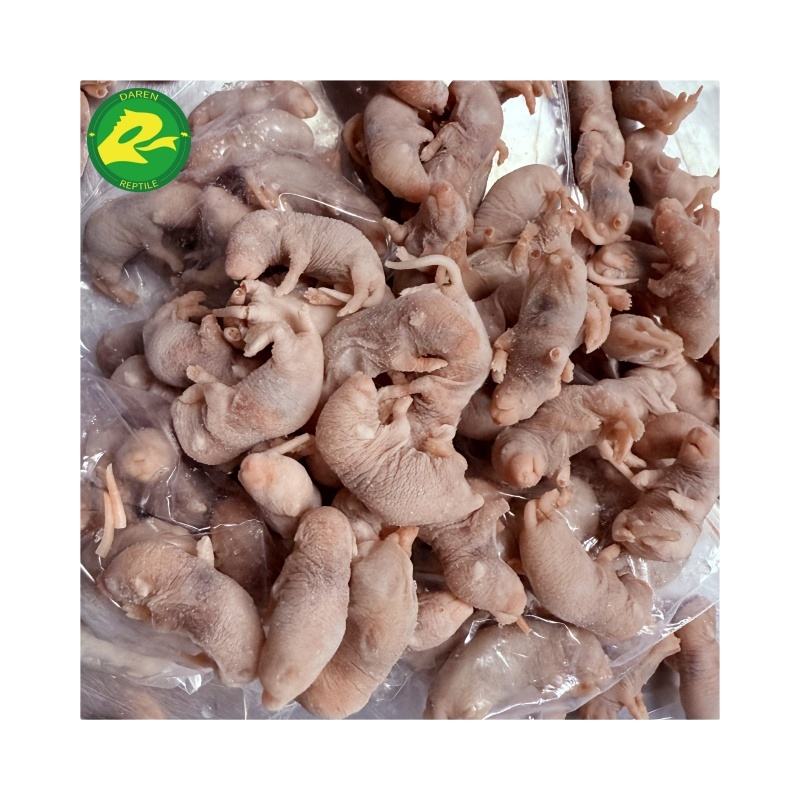 Frozen Mice Hairless Mice For Sale Frozen Mice Nutritious Pet Food