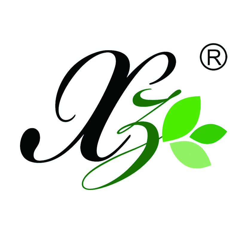 Pujiang Xuan Zhe Industrial Trade Co., Ltd. logo