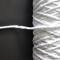 Hilo de algodón súper absorbente para mopa, 5s de 0, 4 y 5 capas, 6 capas, blanco crudo o Color, mezclado con Dref para polvo