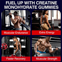 Bonbons Gommeux de Créatine Monohydrate Marque Blanche pour la Croissance Musculaire, Supplément Sportif pour Adultes Favorisant l'Équilibre Électrolytique, Poids 60 24