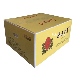 Tùy chỉnh nhựa Polypropylene Hộp bao bì sóng với in logo - Product Image 2