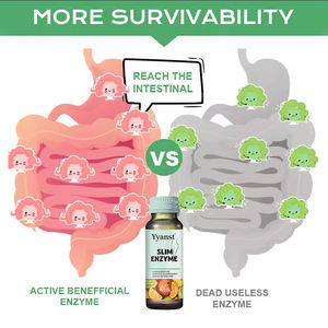 OEM ODM extrait de haricot blanc régulant et équilibré l'intestin stimule la désintoxication du système Lmmune amincissant le liquide oral - Product Image 2