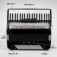 DFTF Promotion Exceptionnelle Accordéon Professionnel 41 Touches 120 Basses 7+3 Registres Clavier Musical