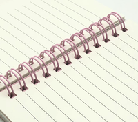 Carnet à spirale personnalisé OEM en PP avec logo imprimé, format A5/B4, couverture rigide, 80 feuilles, journal d'affaires, cadeau promotionnel