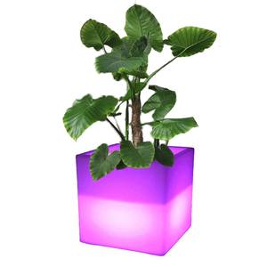 Pots de fleurs <span class=keywords><strong>lumineux</strong></span> à LED pour l'extérieur, hôtel, grand <span class=keywords><strong>pot</strong></span> de fleurs en plastique rotomoulé avec lumière LED lumineuse - Product Image 5