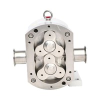 Pompa Rotary Lobe Food Grade Low Shear Stainless Steel 316L Pompa Volumetrik Sanitasi Untuk Penanganan Bubur dan Pure Buah