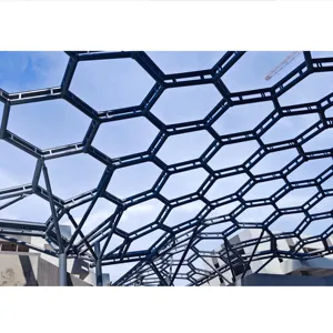 安全稳定的轻质空间网格ETFE气垫钢架结构商业拱廊屋面