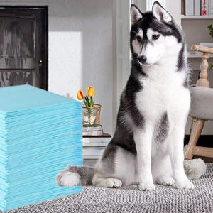 45x60 सेमी मुफ्त नमूना गर्म बिक्री त्वरित सुखाने सतह सुपर अवशोषित कोर पिल्ला पालतू कुत्ते मटर पैड - Product Image 1