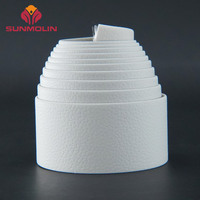 Sangle en nylon enduite de TPU imperméable, résistante à l'abrasion, lisse, en PVC, épaisseur 1 mm, largeur 25 mm, prix d'usine, personnalisable pour sacs