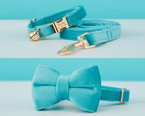 Ensemble collier et laisse personnalisés en velours uni turquoise pour chat et petit chien, avec étiquette nominative gravée sur mesure pour chaton et chiot, clochette dorée offerte - Product Image 3