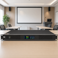 Amplificateur de puissance numérique professionnel 2 canaux 1U 1000W pour salles de réunion