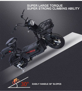 Nueva Bicicleta Eléctrica Digital de Alta Velocidad de 48V 500W/1000W con Doble Potencia |   Bicicleta Eléctrica de Largo Alcance con Motor sin Escobillas - Product Image 2