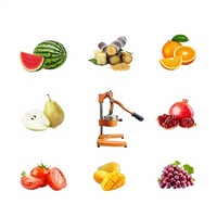 Handmatige sinaasappelpers van premium materialen, apart ontwerp, grapefruitpers voor thuiskeuken