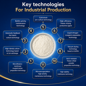 Suministro de Fábrica: Bacillus Clausii AS9, Polvo Probiótico Liofilizado de Alta Potencia, Materia Prima a Granel con Servicio OEM ODM - Product Image 2
