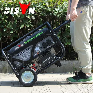 BISON (CHINE) 110V 60Hz Générateur de puissance 220V 380V Générateur portable domestique automatique avec démarrage à distance