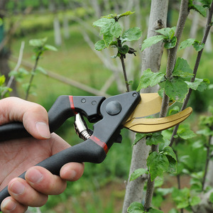 Cisailles de taille Old Buddy Bypass 20-30 mm en acier inoxydable pour arbres fruitiers et outils de jardinage - Product Image 1