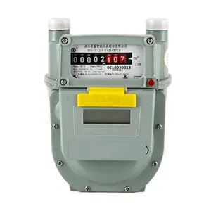 Ic-kaart Prepaid Biogas Methaan Gas Flow Meter Prijs